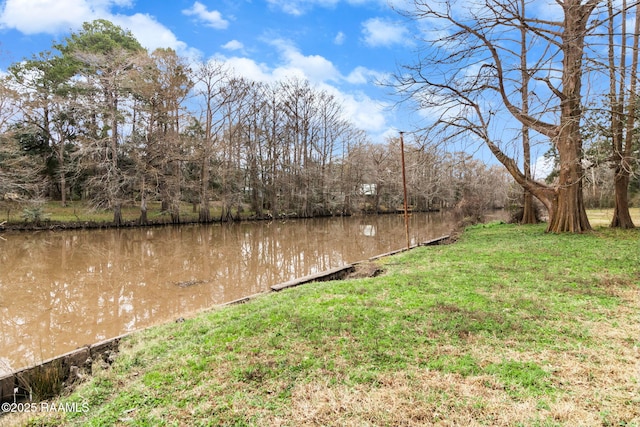 property view of water