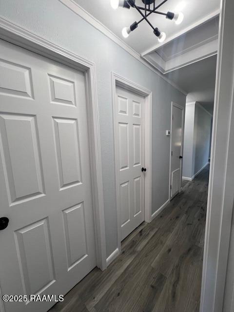 corridor featuring dark hardwood / wood-style flooring, crown molding, and a chandelier