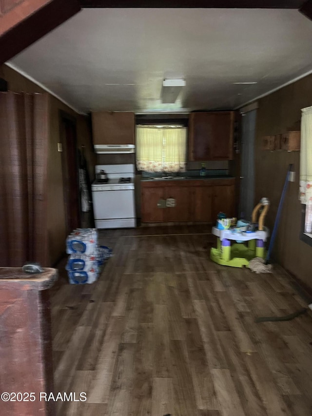 kitchen with dark hardwood / wood-style flooring and white range oven