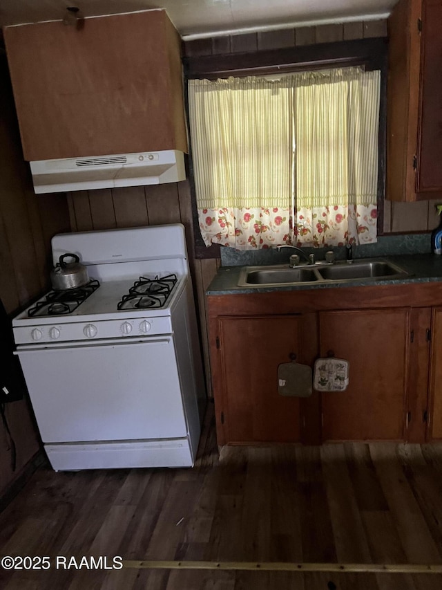 kitchen with sink, dark hardwood / wood-style flooring, and white gas stove