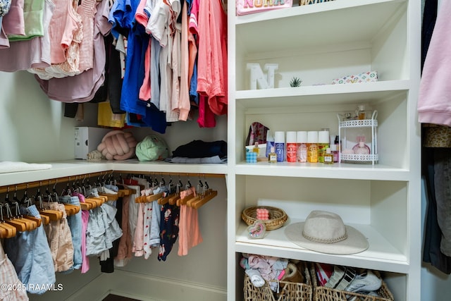 view of closet