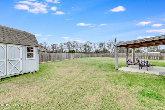 view of yard with a patio area and a storage unit