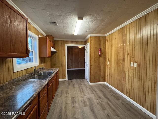 kitchen featuring wooden walls, sink, and crown molding