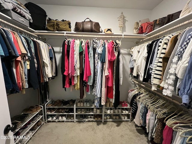 walk in closet with carpet