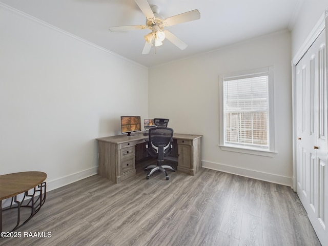 office featuring ceiling fan, ornamental molding, and light hardwood / wood-style floors