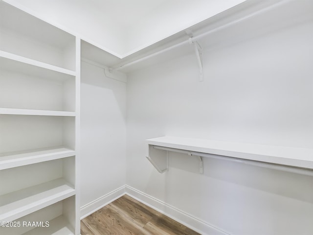 walk in closet with wood-type flooring