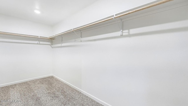 spacious closet featuring carpet