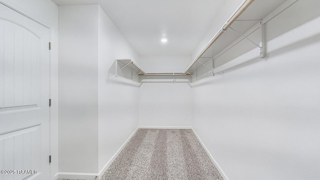 spacious closet with carpet