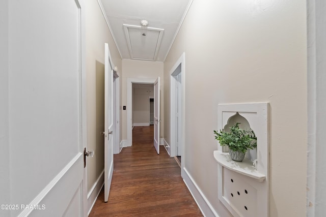 corridor with dark hardwood / wood-style flooring and crown molding