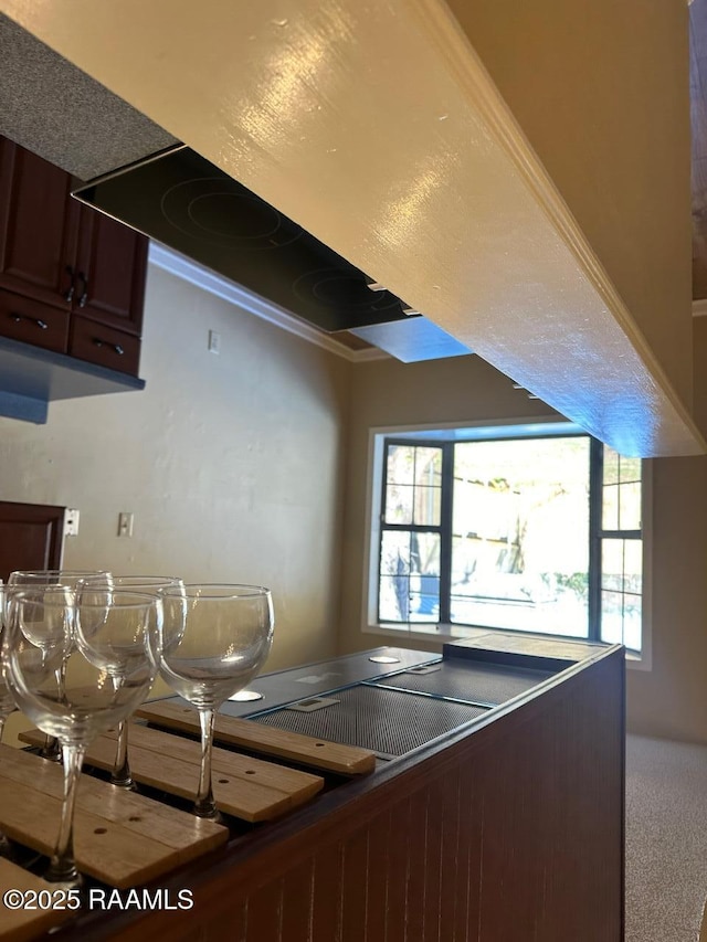 kitchen featuring carpet floors, crown molding, and dark brown cabinets