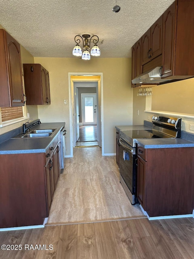 kitchen with sink, light wood-type flooring, dishwasher, and stainless steel electric stove