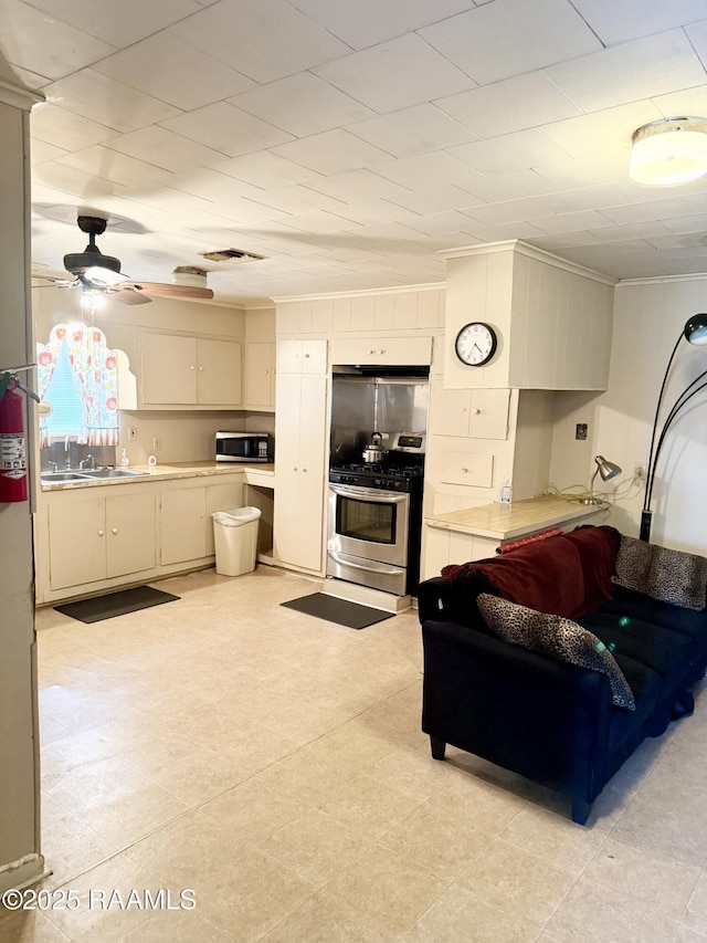 living room featuring ceiling fan, crown molding, and sink