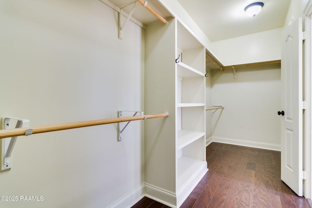 spacious closet featuring dark hardwood / wood-style flooring