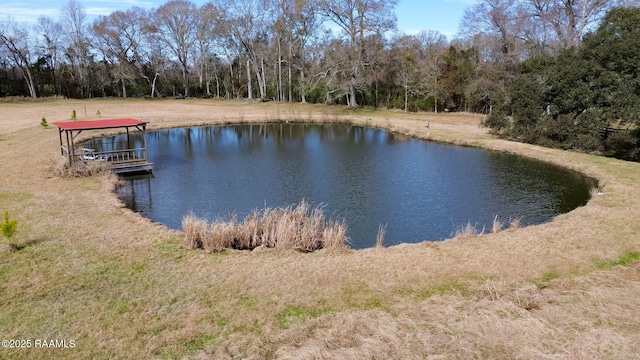 view of water feature