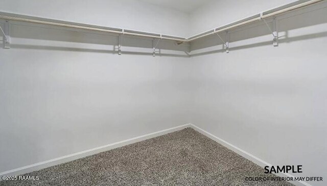 walk in closet with carpet floors