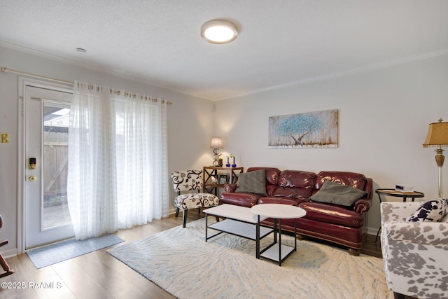 living room featuring a textured ceiling, ornamental molding, light hardwood / wood-style floors, and plenty of natural light