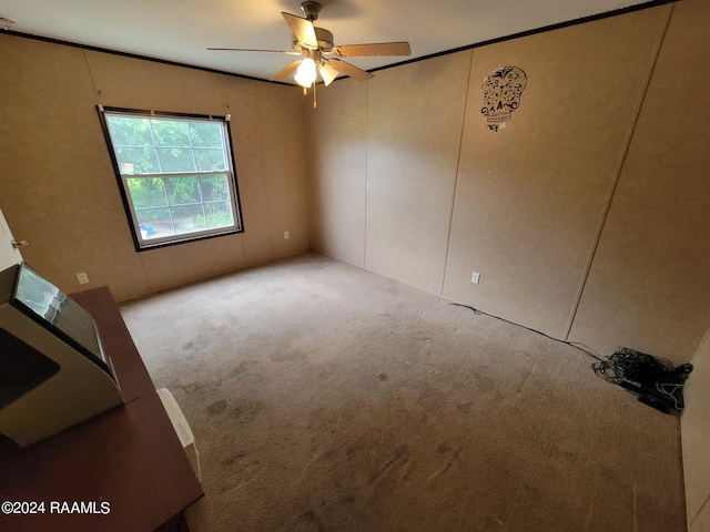 unfurnished room with ceiling fan and light colored carpet