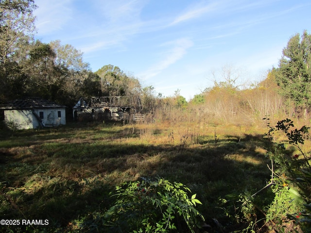 view of local wilderness