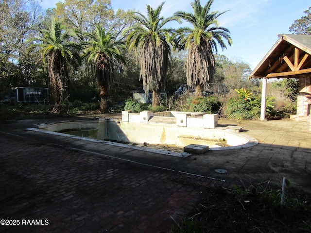 view of yard featuring a patio area