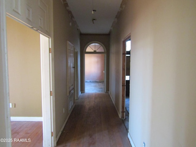 hall with wood-type flooring