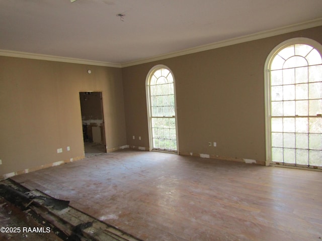 unfurnished room with ornamental molding