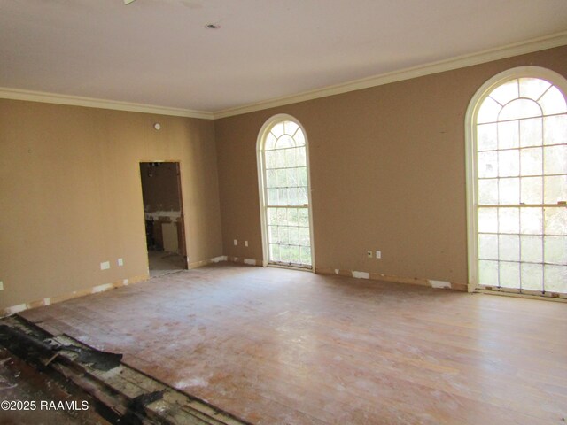 spare room featuring baseboards and ornamental molding