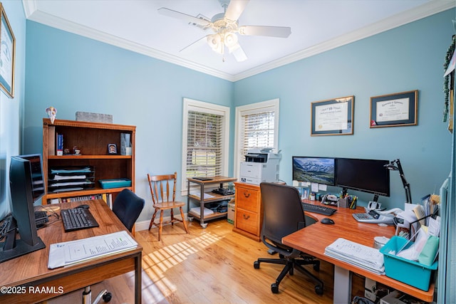 office space featuring light wood-style floors, baseboards, ornamental molding, and a ceiling fan