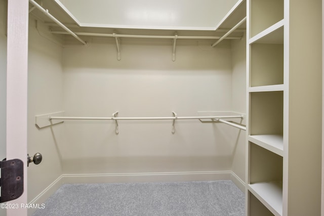 spacious closet featuring carpet