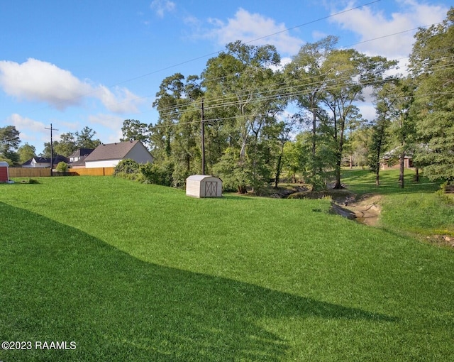 view of yard featuring a shed