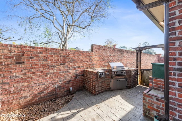 view of patio / terrace featuring area for grilling