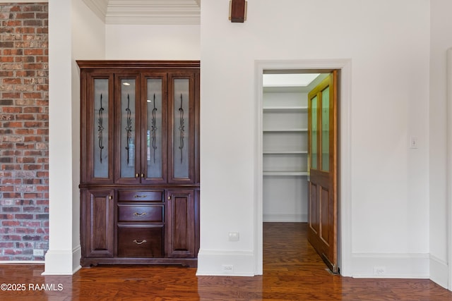 interior space with crown molding and dark wood-type flooring