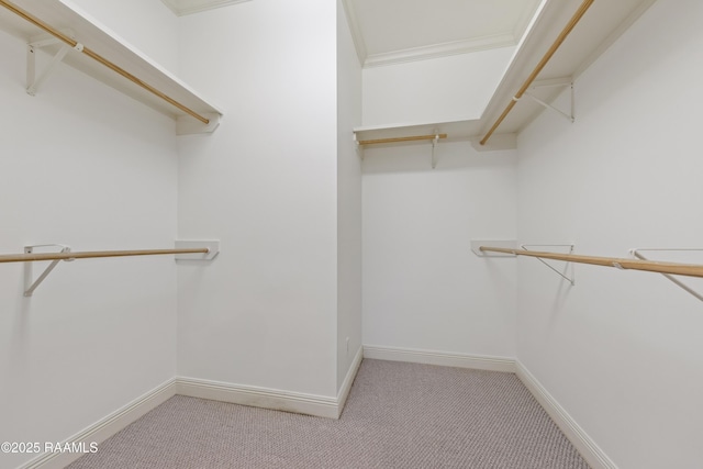 walk in closet featuring light colored carpet