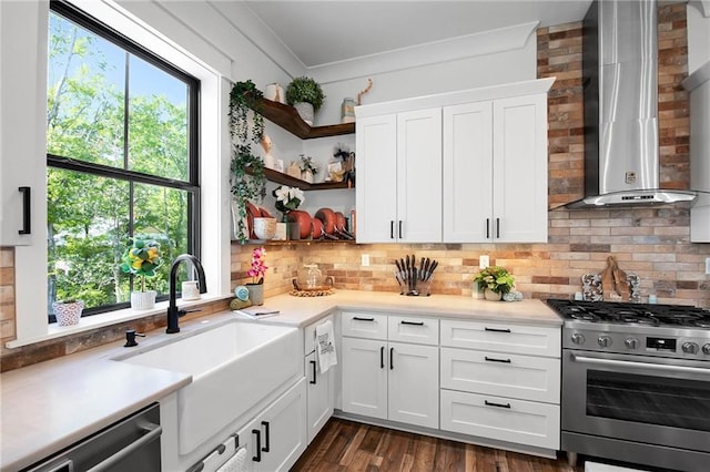 kitchen featuring appliances with stainless steel finishes, a healthy amount of sunlight, a sink, and wall chimney range hood