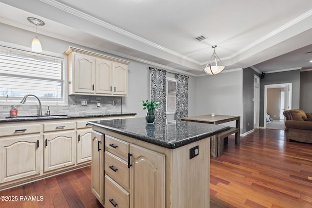 kitchen with hanging light fixtures, a raised ceiling, a center island, and sink