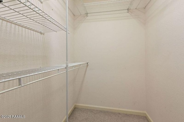 spacious closet with carpet flooring