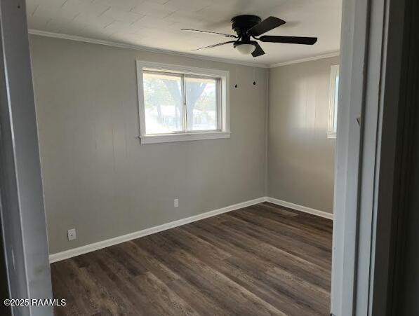 empty room featuring crown molding, ceiling fan, and dark wood-type flooring