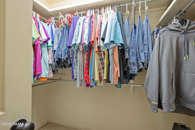 spacious closet featuring carpet floors