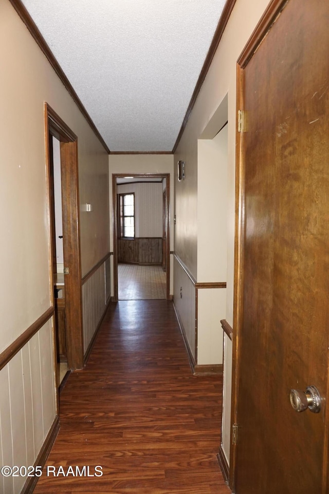 hall with dark wood finished floors, wainscoting, a textured ceiling, and ornamental molding