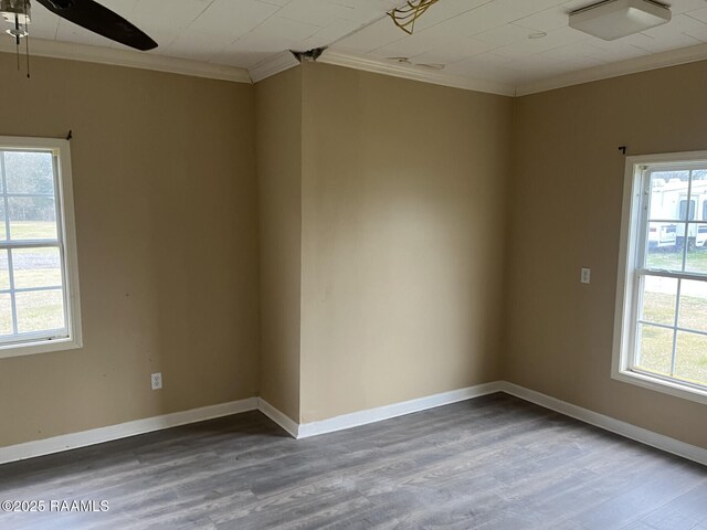 spare room featuring wood-type flooring, ornamental molding, and ceiling fan