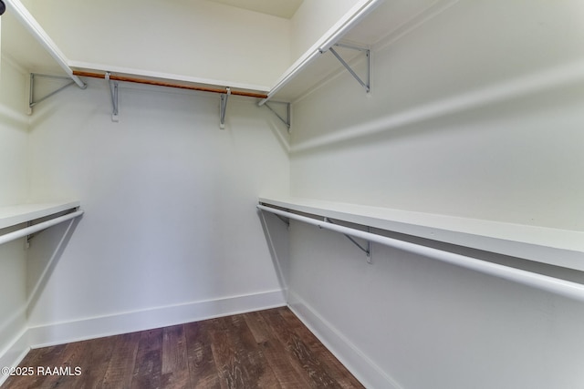 walk in closet featuring dark hardwood / wood-style floors