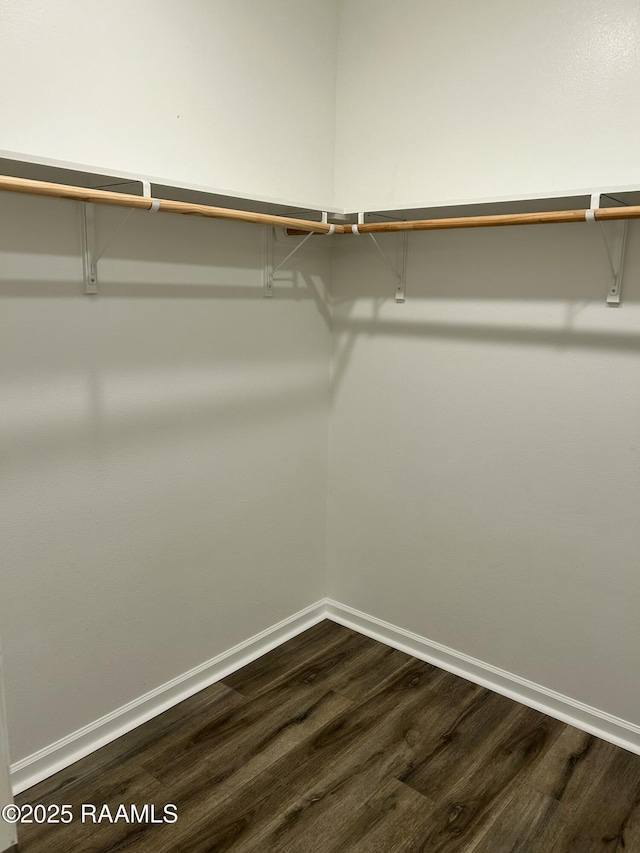 walk in closet featuring dark wood-type flooring