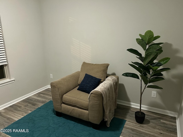 sitting room featuring dark hardwood / wood-style floors