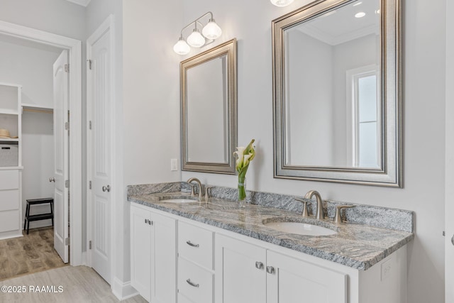 bathroom featuring vanity, hardwood / wood-style flooring, and ornamental molding