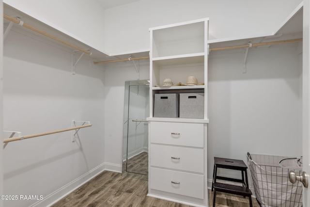 spacious closet with hardwood / wood-style floors