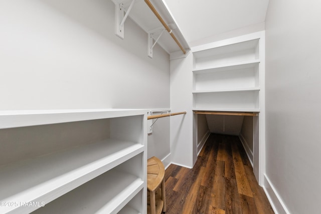 walk in closet featuring dark wood-type flooring