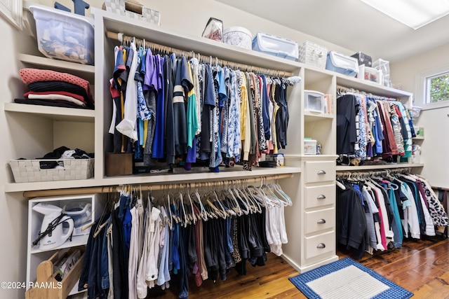 spacious closet featuring wood-type flooring