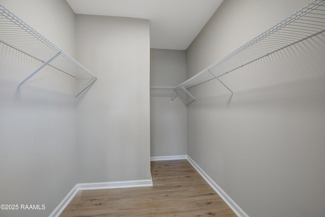 spacious closet featuring light hardwood / wood-style floors
