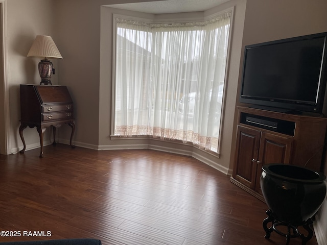 living room with dark hardwood / wood-style flooring