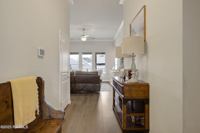 hall featuring hardwood / wood-style flooring and ornamental molding