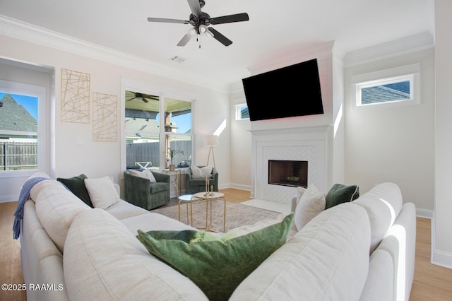 living room featuring a fireplace, light hardwood / wood-style flooring, and plenty of natural light